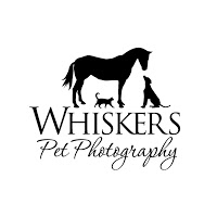Whiskers Pet Photography 1063198 Image 1